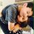 Dania Luna's profile image