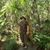 Leobardo Reynaga Hernandez's profile image