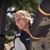 Tracy Turner's profile image