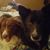 Patty Jo Vota's profile image