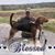 Josh Moreland's profile image