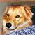 Becky Crocker's profile image