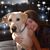 Cathy Culjan Miller's profile image