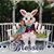 Karen Gibbons's profile image