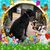 Emily Dolores Mingione's profile image