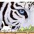 Claude Feland's profile image