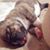 Rebecca Cavinder Griggs's profile image