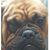 Nay Hollister's profile image