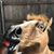 Matt Wierzbicki's profile image