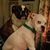 Sue Starcher's profile image