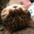 Kenneth E Roman's profile image