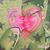 Tiieace Calloway's profile image