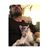 Jeremy McCrudden's profile image