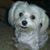 Bev Raby's profile image