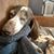 Phyllis McNall's profile image