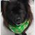 Juanita Jones's profile image