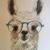 Shauntel McCartney's profile image