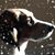 Katherine Moore-Barlow's profile image