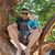 David Nielsen's profile image