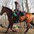 Karen M. Grove's profile image