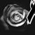 Faby Avendano's profile image