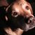 Linda K Brooks's profile image