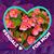 Donna Morris's profile image