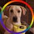 Lisa Beth Roybal's profile image