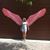 Joyce Gitchell's profile image