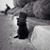 Julie Cole-Burkholder's profile image