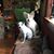 Ken Backus's profile image