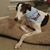 MaryAnn Avery Beland's profile image
