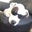 Valerie Gathwright's profile image
