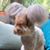 Nancy Morris's profile image