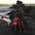 Susanne Fox Cusimano's profile image