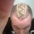 David C. Roberts's profile image