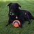 Joni Gary McCrady's profile image