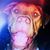 Kelly Ruane Neville's profile image