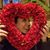 Lisa Lechman Efflandt's profile image