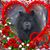 Kathy Jose's profile image