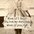 Sandra Frank-Sizer's profile image