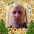 Kelly Budau's profile image