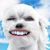 Michelle Del Rey's profile image