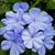 Gerri Klein Taylor's profile image