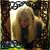 Cornelia Hughes's profile image