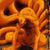 Benjamin Shively's profile image