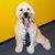 Joanna Caldwell McAdams's profile image