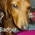 Anita Franklin's profile image