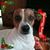 Crystal Horne's profile image