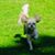 Suzie Brooks's profile image
